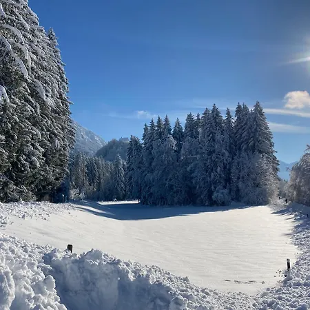 Goldvogel * Fischen im Allgaeu