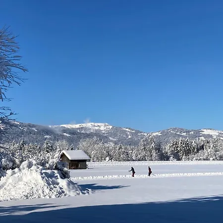 Goldvogel * Fischen im Allgaeu
