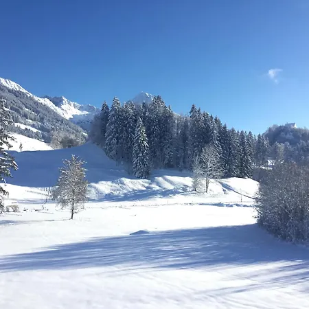 Apartament Goldvogel Fischen im Allgaeu